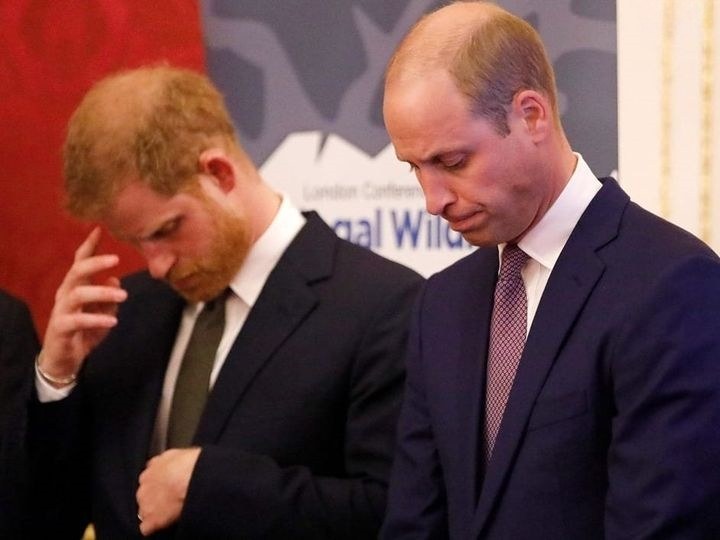 Harry and William rocked by shock family death