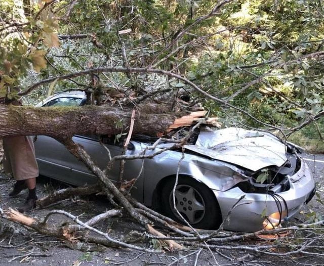 Popular comedian died in sad accident when massive tree limb fell on top of him…Popular comedian died in sad accident when massive tree limb fell on top of him…