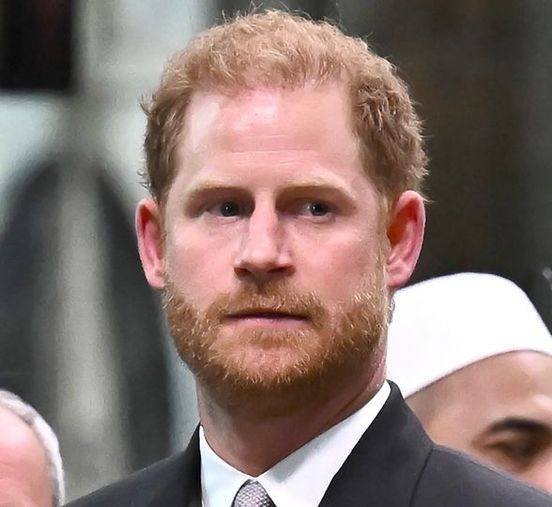 Opinion: Prince Harry should leave the US – but not take his children with him