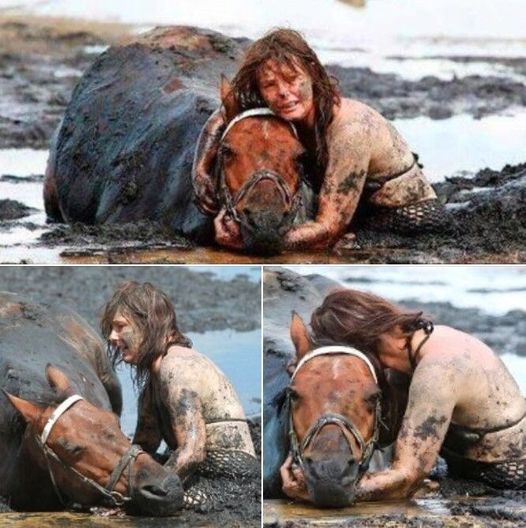 For 3 hours woman stays with trapped horse – then a farmer does everything he can to save its life