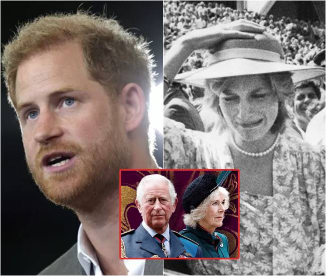 Tragedy! Prince Harry appeared on a U.S. television channel, exposing the one who harmed his mother, Diana, after 30 years in hiding: “That person is lurking in Buckingham Palace…”