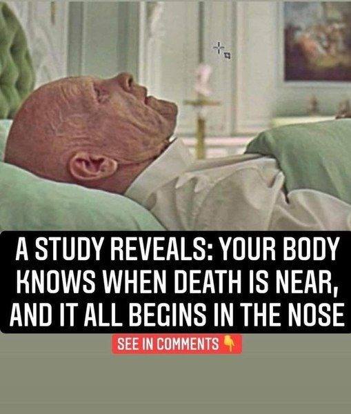 Did you know? Researchers have discovered that your sense of smell might actually hint at your lifespan.