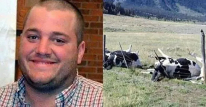 Farmer And 16 Cows Found Dead, Cause Of Death Finally Discovered