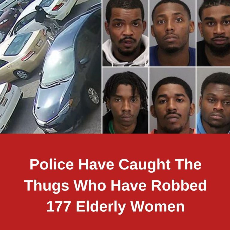 Police Have Caught The Thugs Who Have Robbed 177 Elderly Women