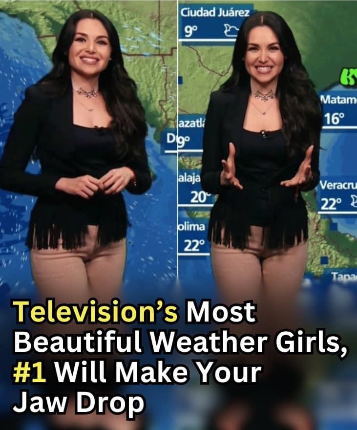 Television’s Most Beautiful Weather Girls, #1 Will Make Your Jaw Drop