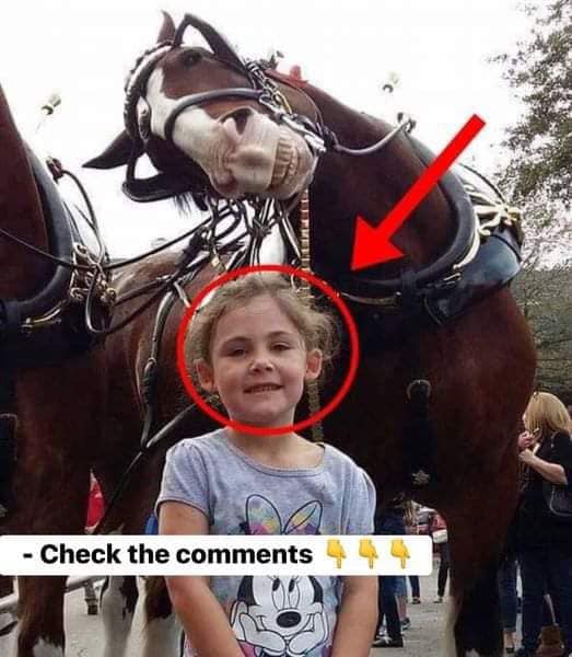 The father takes a picture of his daughter next to a horse. On closer inspection, he cannot believe what he sees