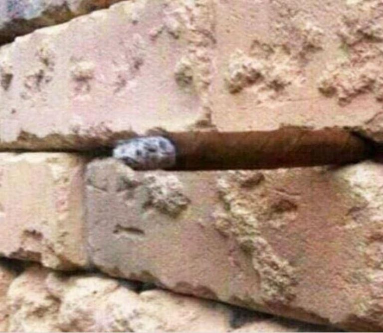 ‘Brick wall’ optical illusion makes the entire Internet scratch their heads in exasperation