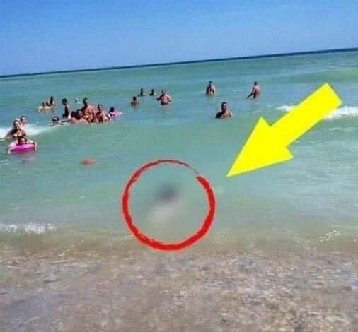 Tourists Stunned by What They Saw!