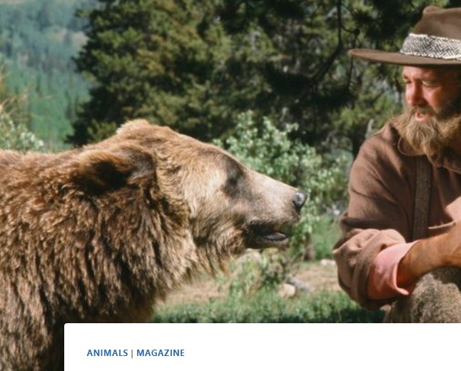 Dan Haggerty: The Gentle Mountain Man: A Tribute