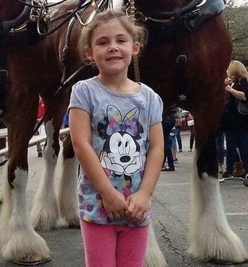 After photographing his daughter in front of the massive horse, Dad looks at her more closely and bursts into laughter.