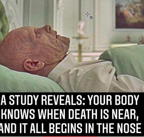 Did you know? Researchers have discovered that your sense of smell might actually hint at your lifespan.