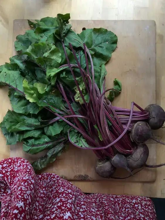 Healthy and delicious pickled beets