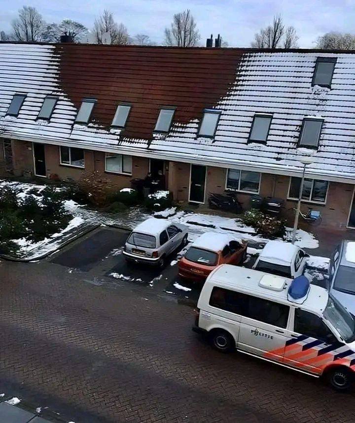 Several Residents Of A Dutch Village Reported An Unusual Thing At A Neighbor’s Home To The Authorities