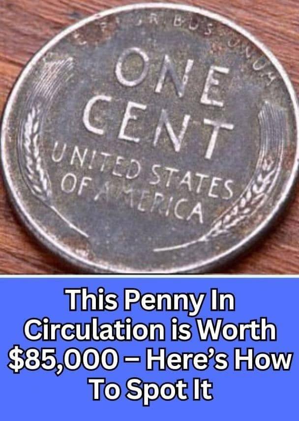 This Penny In Circulation is Worth $85,000 – Here’s How To Spot It.