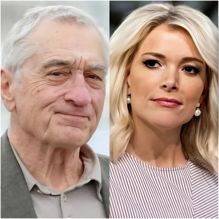 Explosive TV Moment: Megyn Kelly Boldly Calls Robert De Niro ‘Extremely Stupid’ During Live Broadcast!