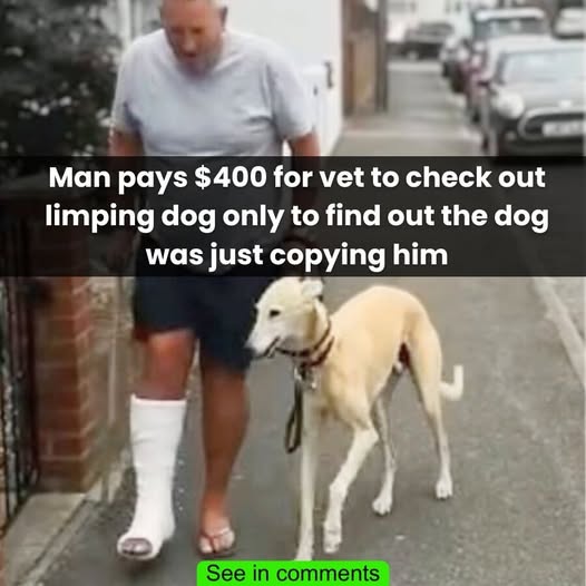 Man pays $400 for vet to check out limping dog only to find out the dog was just copying him