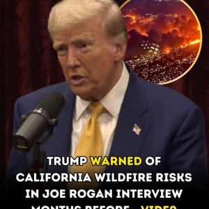 Trump Warned of California Wildfire Risks in Joe Rogan Interview Months Before it Happened