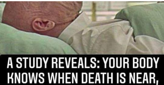 Your Body Knows When Death Is Near