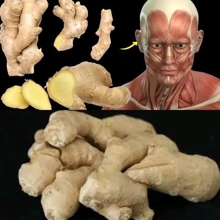 Surprising Health Benefits of Eating Ginger Every Day