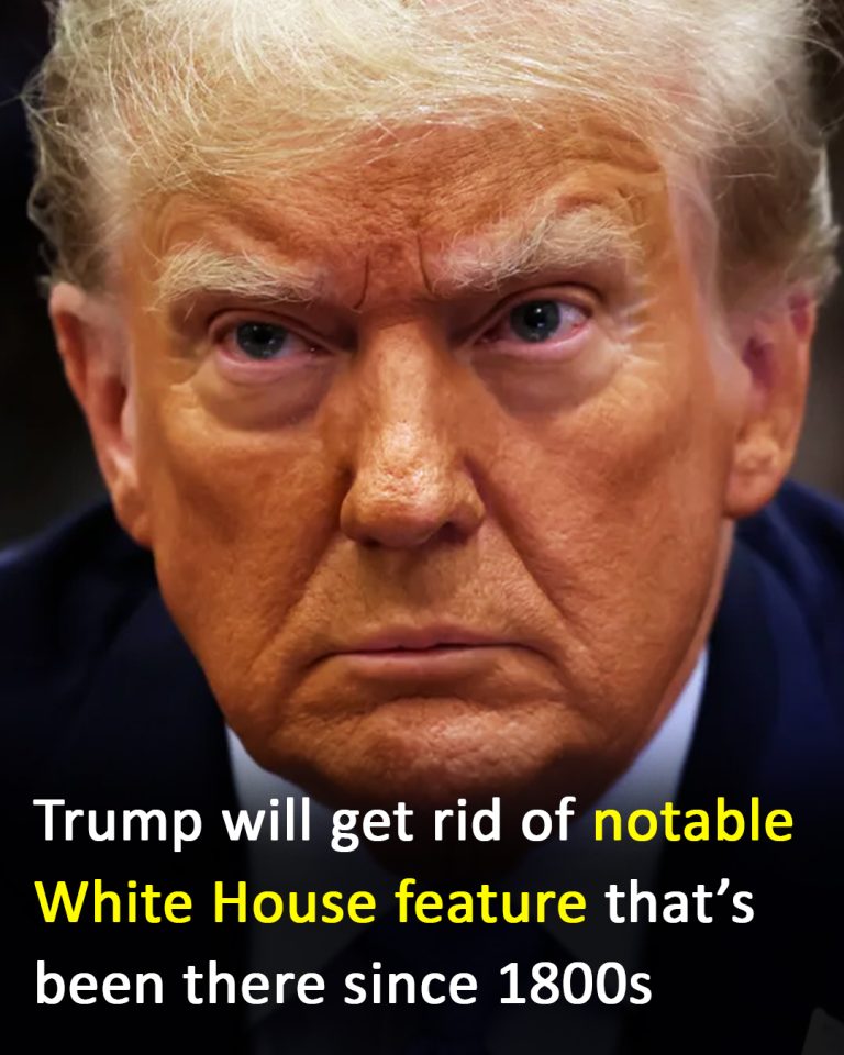 Trump plans to remove historic White House feature from 1800s