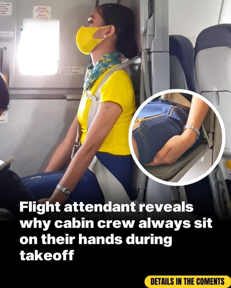 Here’s Why Cabin Crew Sits On Their Hands During Take Off and Landing